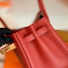 mmexport1673343598355-1024x768-1 Hermes Birkin Togo D5 Coral red Gold Hardware 30cm Full Handmade