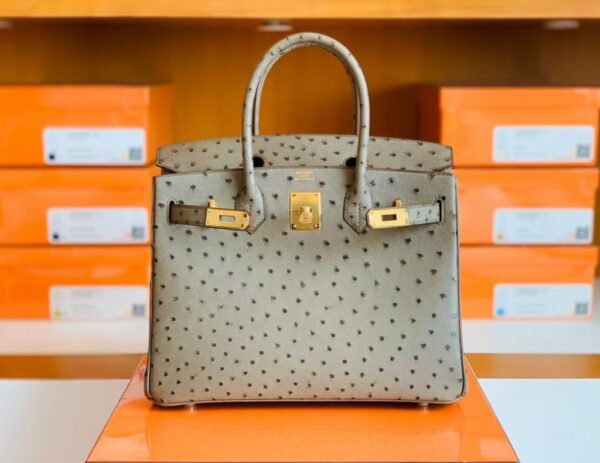 Hermes Birkin Ostrich etoupe grey Gold Hardware 30cm Full Handmade