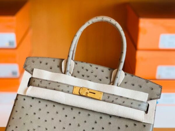 Hermes Birkin Ostrich etoupe grey Gold Hardware 30cm Full Handmade