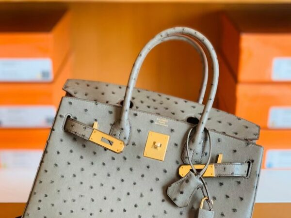 Hermes Birkin Ostrich etoupe grey Gold Hardware 30cm Full Handmade