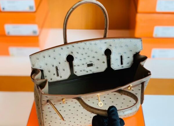 Hermes Birkin Ostrich etoupe grey Gold Hardware 30cm Full Handmade