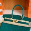 mmexport1673775109784-1024x768-1 Hermes Birkin Ostrich u4 Velvet green Gold Hardware 30cm Full Handmade