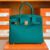 mmexport1673775111123-1024x768-1 Hermes Birkin Ostrich u4 Velvet green Gold Hardware 30cm Full Handmade