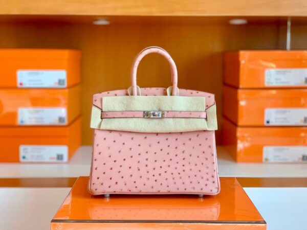 mmexport1690709696342-1024x768-2 Hermes Birkin Ostrich CK94 Pink Silver Hardware 25cm Full Handmade