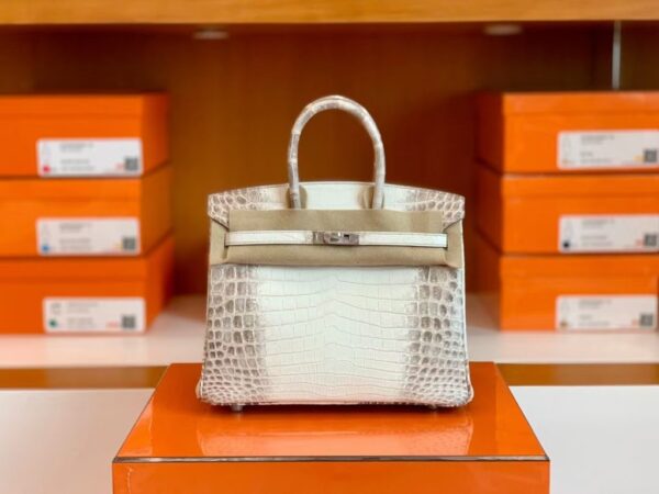mmexport1699695148538-1024x768-1 Hermès Birkin Matte Niloticus crocodile 01 himalaya Silver Hardware 25cm Full Handmade