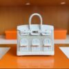 H Factory Bags Birkin Faubourg Alligator crocodile & Togo White & grey Silver Hardware 20cm Full Handmade